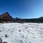 під явором 보로크타