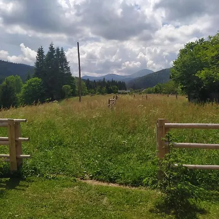 під явором Worochta