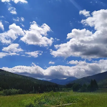 Apartment під явором Worochta