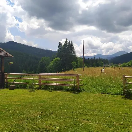 під явором * Worochta