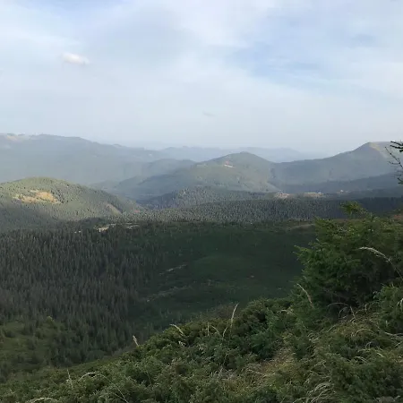 під явором Ворохта