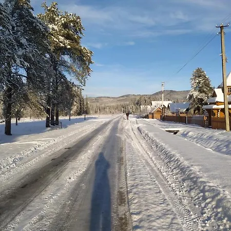 Apartment під явором *