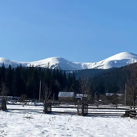 під явором