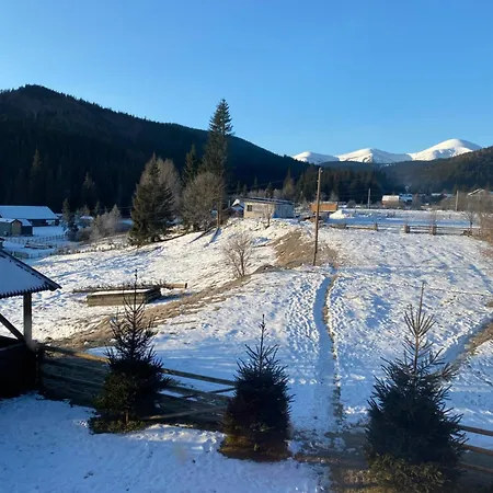 під явором Worochta