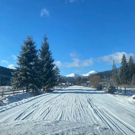 Apartment під явором *