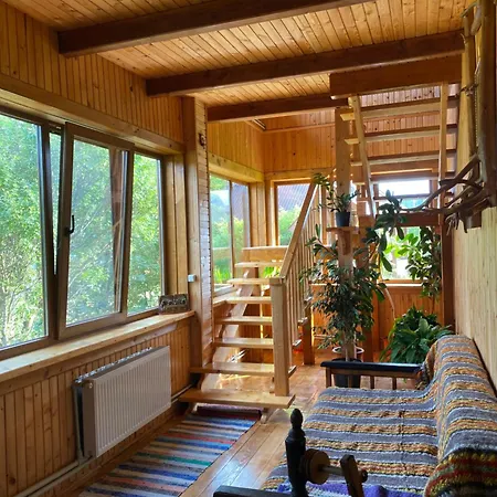 під явором Worochta