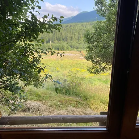 під явором Apartment *