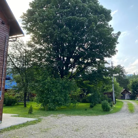 під явором Apartment Worochta