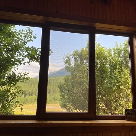 Apartment під явором Vorokhta