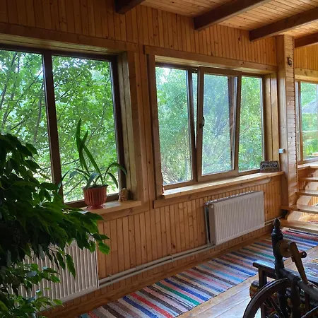 під явором Apartment