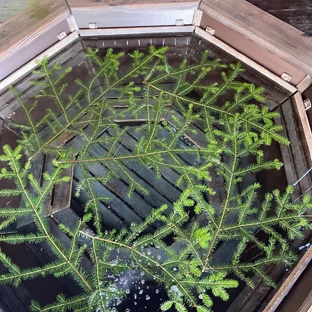 під явором Apartment *