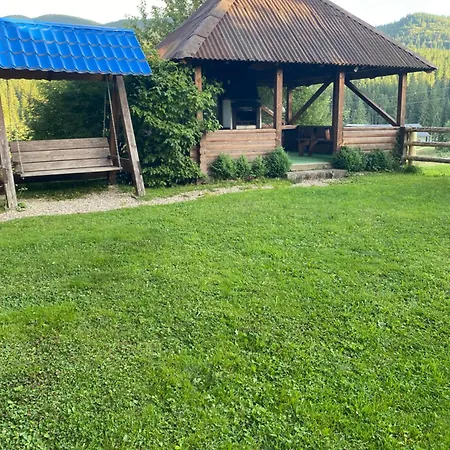 Apartment під явором Worochta