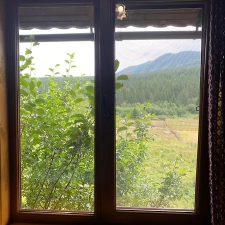 під явором Apartment Worochta