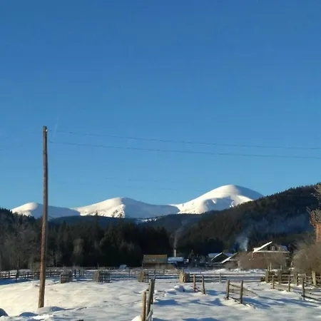 під явором Apartment *