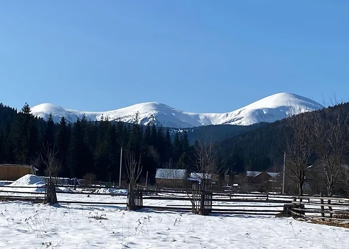 під явором