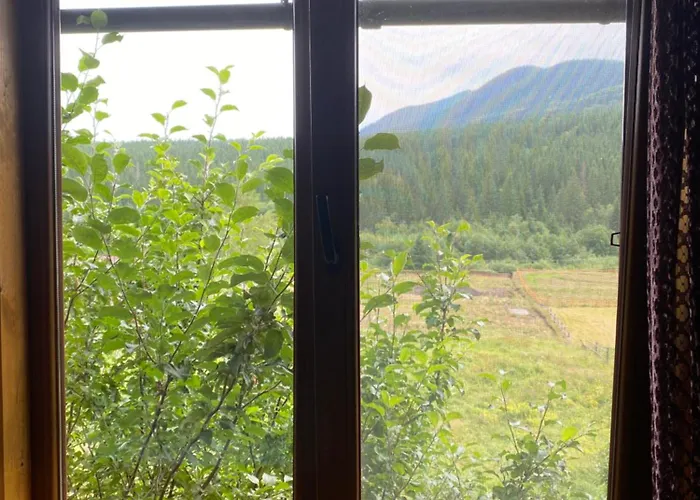 під явором Apartment Worochta