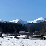 під явором
