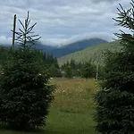 під явором