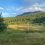 під явором